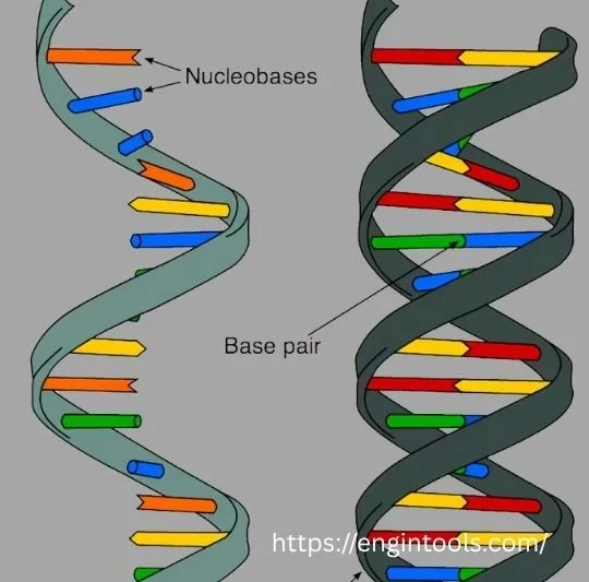 RNA Sensor: Types, Functions, and the Best RNA Sensors Explained